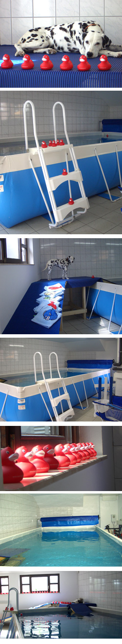 Aquatherapie